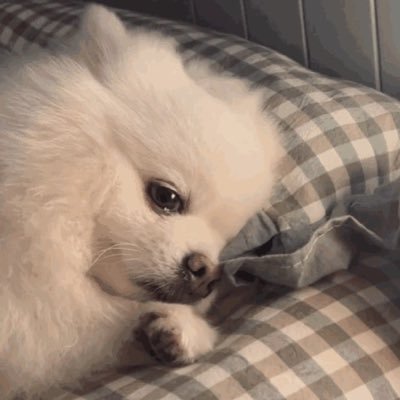 Josukiii's profile picture