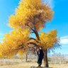 Фото профиля Dawood Khan Batozai
