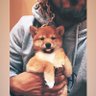 DreJc's profile picture