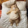 Turu's profile picture