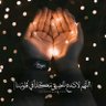 Profilbild von Mohamed Abdo
