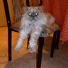 Dr. TSA's profile picture