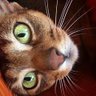 12345's profile picture