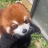 Taunty's profile picture