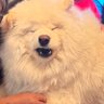 Profilbild von Chris :D