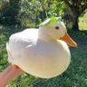Фото профиля Joe McDuck