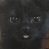 Profilbild von nunu