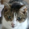 Profilbild von Mike Robinson