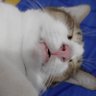 OhLaLaLa 的头像