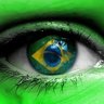 Avalanche Conservadora🇧🇷 #votoauditavelja's profile picture
