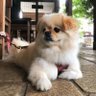 さいたま profil fotoğrafı