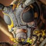 Фото профиля Bitcoindeano