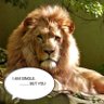 Kachireddy Ranjit Kamar profil fotoğrafı