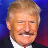 Profilbild von il Donaldo Trumpo