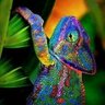 Фото профиля PatriayVerbo