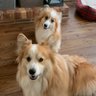 Kelly ☮️ profil fotoğrafı