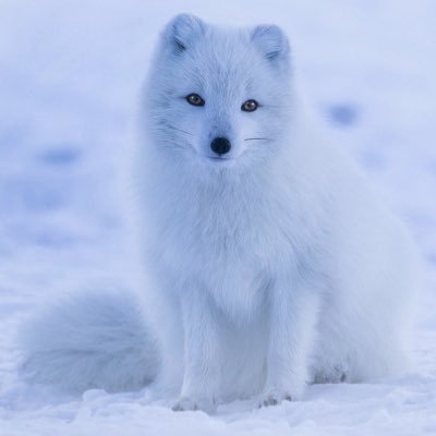yukito_ueful's profile picture