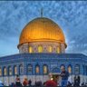 عبدالله محمود عبدالله الوصابي 的头像