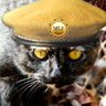 1finekitty profil fotoğrafı