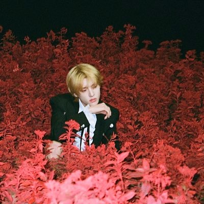 𝑊𝑖𝑡ℎ 𝐸𝑣𝑒𝑟 𝐴𝑓𝑡𝑒𝑟's profile picture