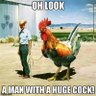 IC Pillar's profile picture