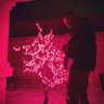 ᴡᴛᴊ slum's profile picture