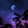 Arturo_Kannon's profile picture