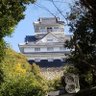 Фото профиля 三位中将信辰