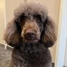 George profil fotoğrafı