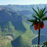 Фото профиля azadiuazadi Almanya