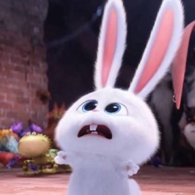 kim_tofu_'s profile picture