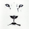 Lionidas profil fotoğrafı