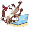 timagixe's profile picture