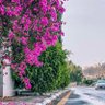 فايز الشهري's profile picture