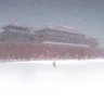风雪夜归人 的头像