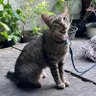 Profilbild von Nandha