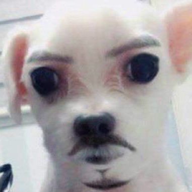 벽이다's profile picture