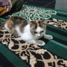 brayy profil fotoğrafı