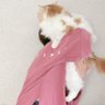 あいり 的头像