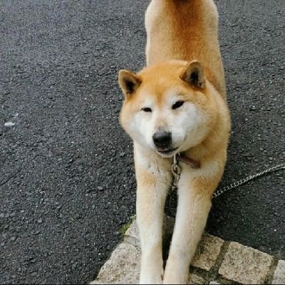 112S_FA's profile picture