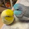 Profilbild von URU&YUKA