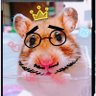 Profilbild von ☆のぞみん☆