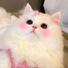 ๐๐ขึดเป๐ทอึ.๐ธ ็ๅคดๅ