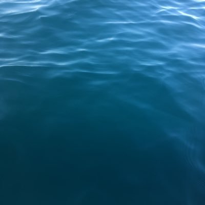 rty's profile picture