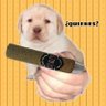Stiiizy King Louis XIII Blunts's profile picture