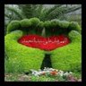 الساااطي's profile picture