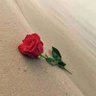 الاسود 的头像