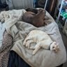 Boris's profile picture
