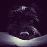 Punky's profile picture
