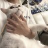 Lemandu profil fotoğrafı